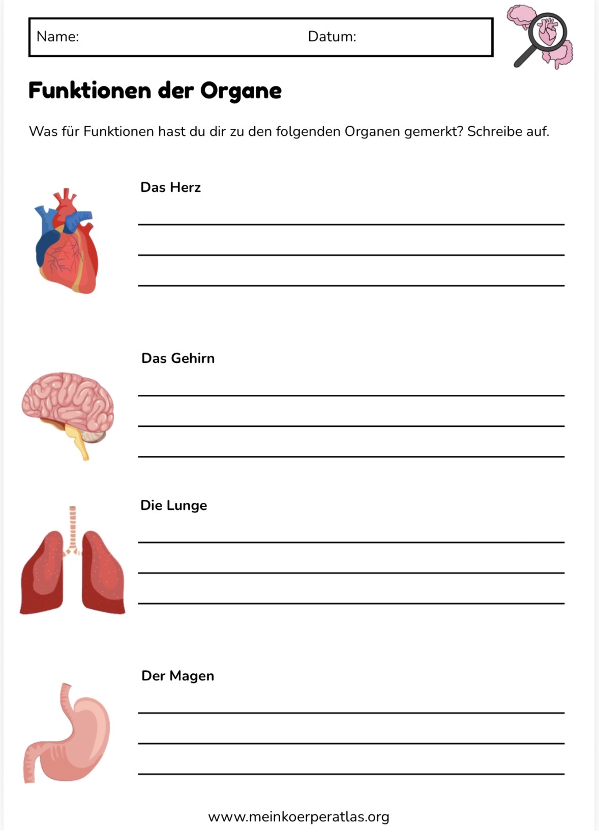 Vorschau Arbeitsblatt 5