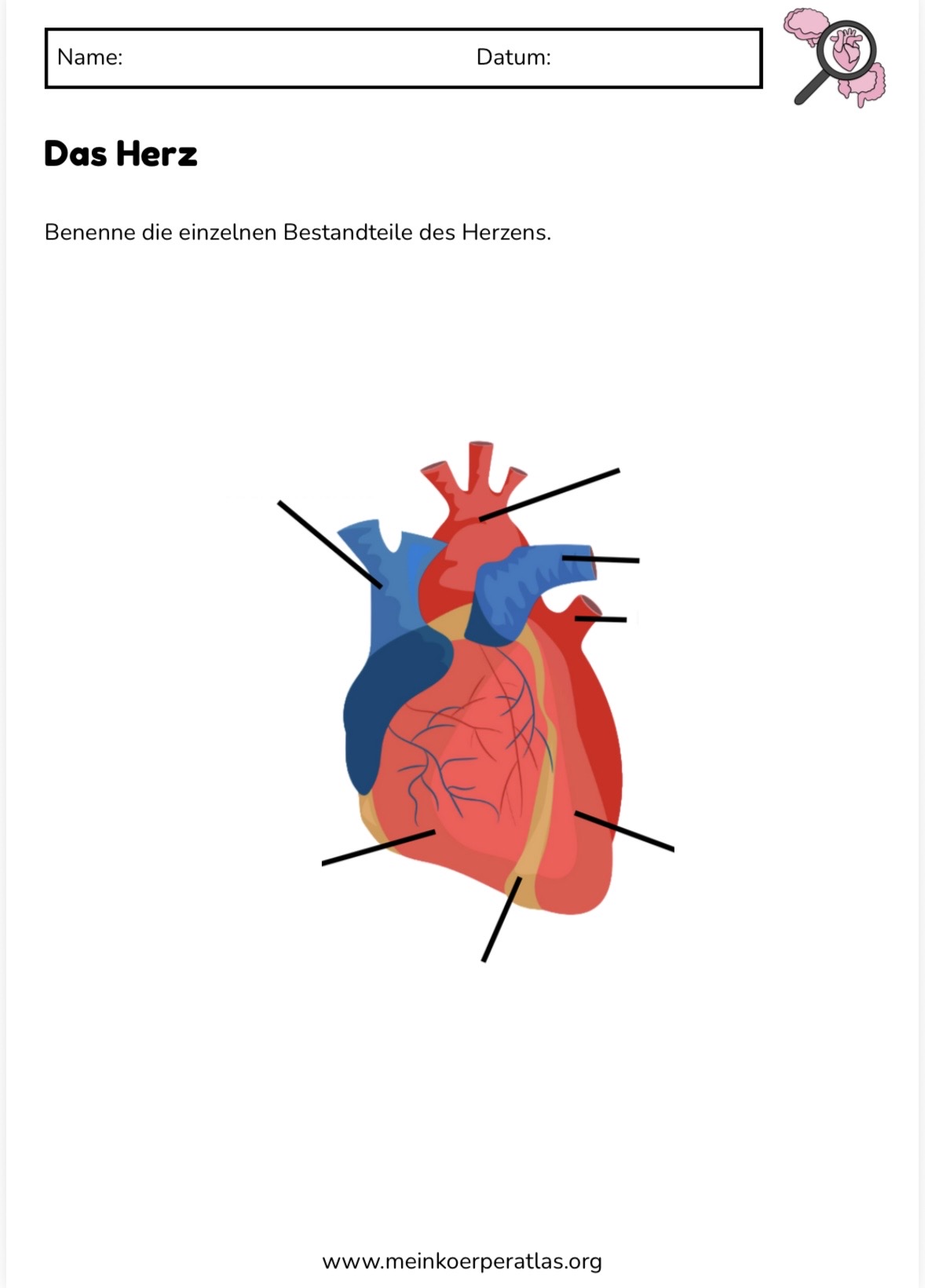 Vorschau Arbeitsblatt 4