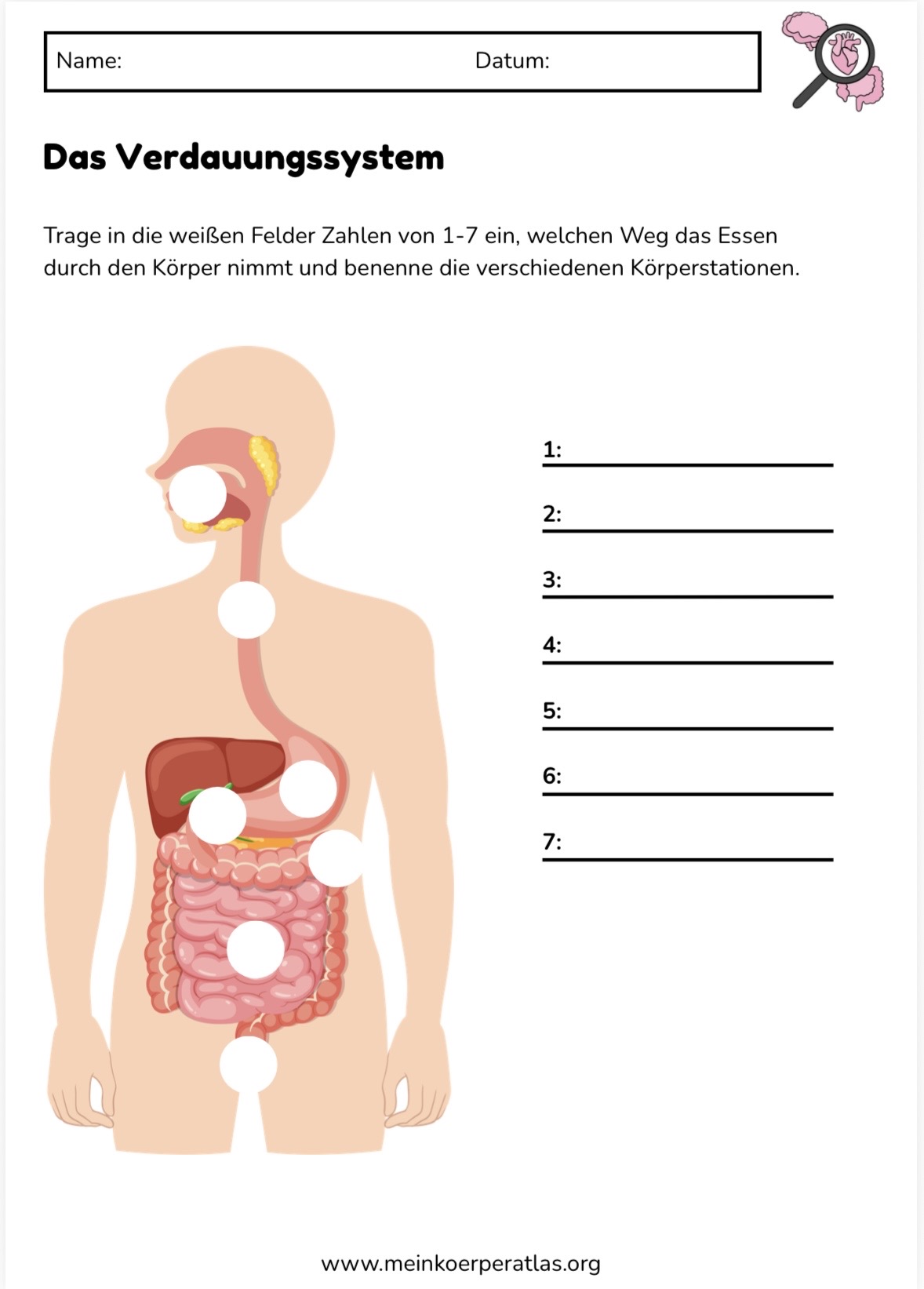 Vorschau Arbeitsblatt 3